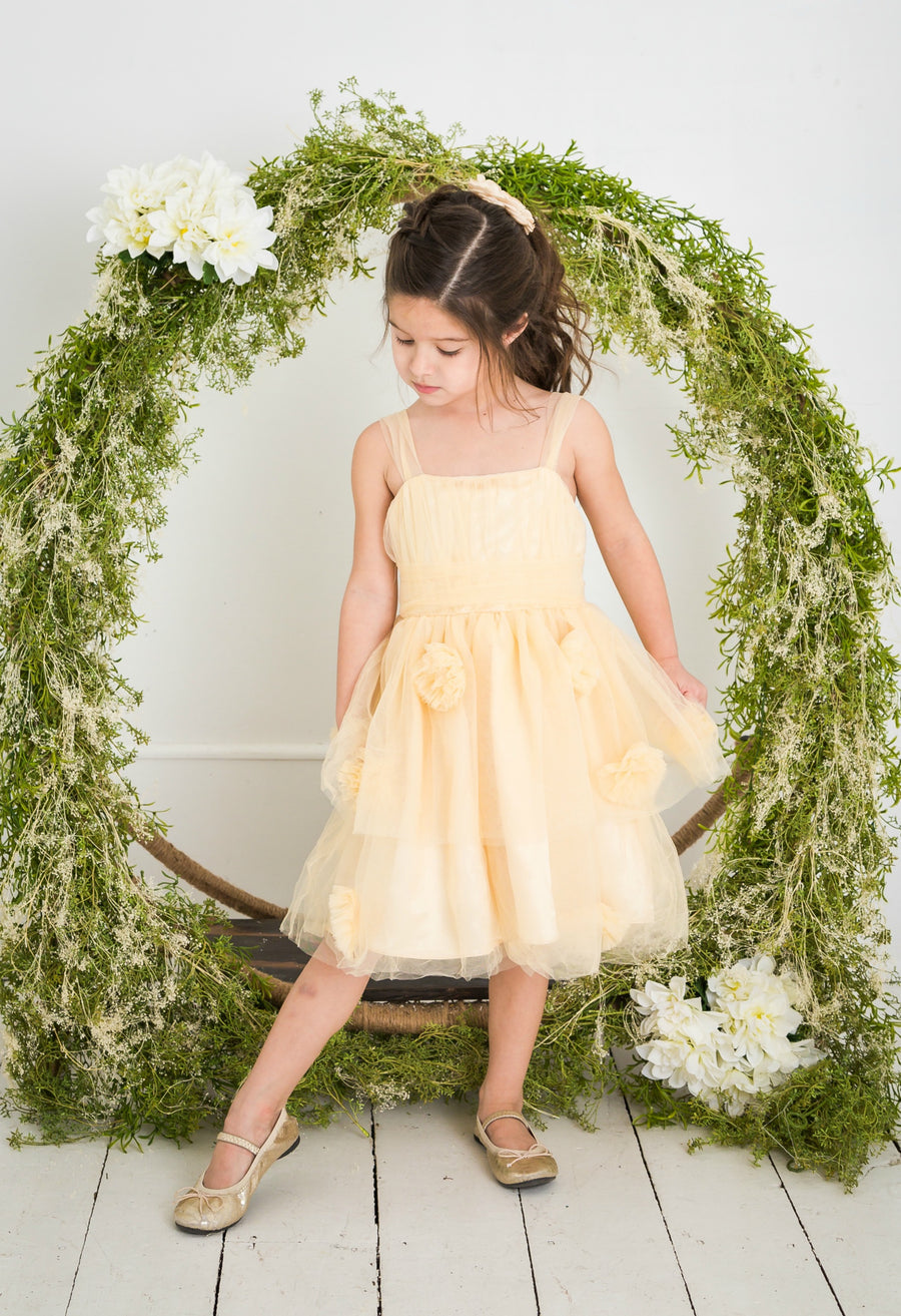 Aurora Dress